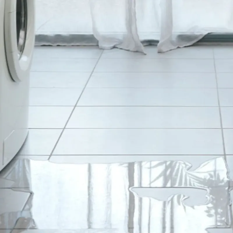 Appliance Leak Cleanup in Polk County, MO