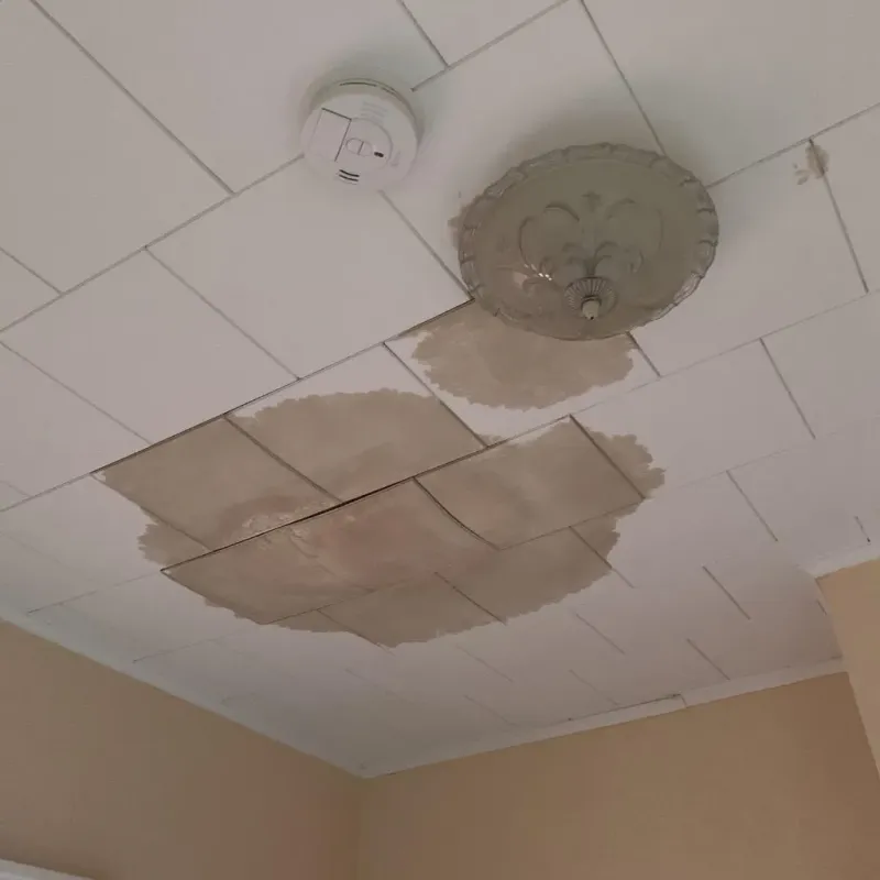 Ceiling Water Damage Repair in Polk County, MO