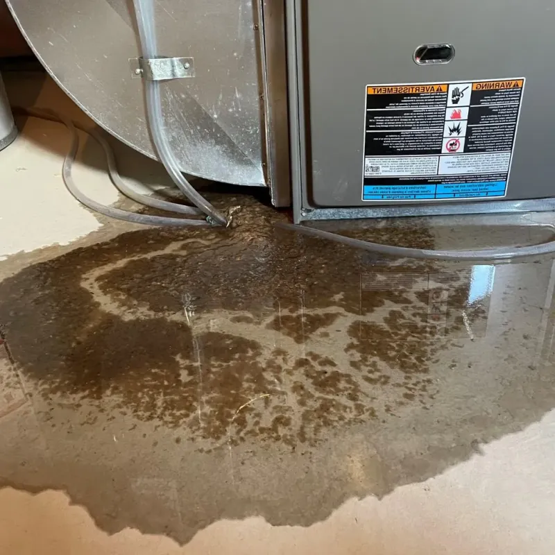 Pipe Burst and Leak Restoration in Polk County, MO